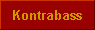  Kontrabass 